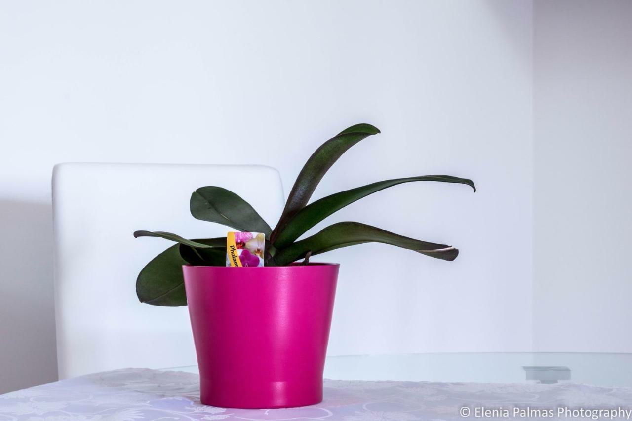 Giusy Monreale Apartment カリアリ エクステリア 写真